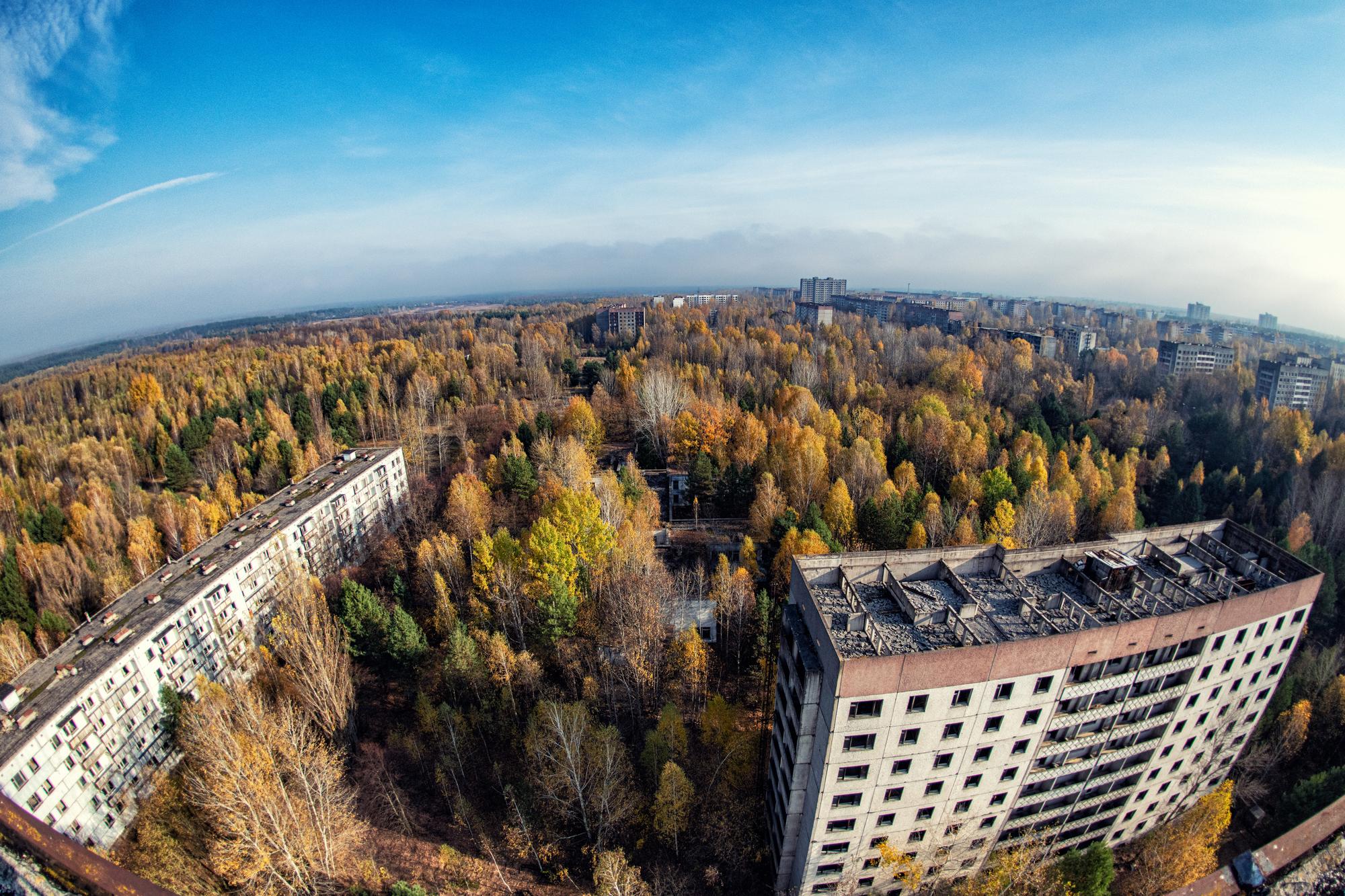 Sparrow Hills: Panoramic Nature Escape