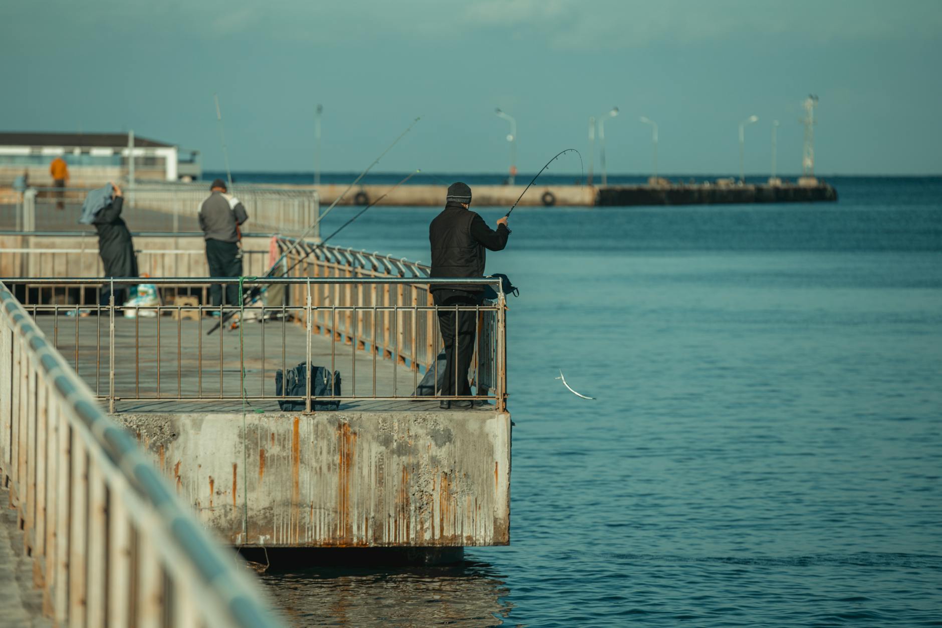 Deep Sea Fishing in Kamchatka: Offshore Charters, Species & Camera to Document