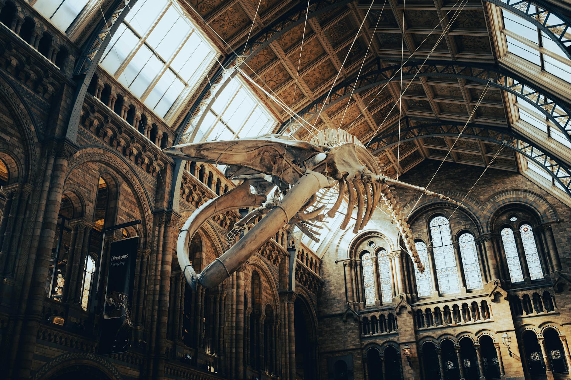 Architectural Design: A Natural History Museum Like No Other