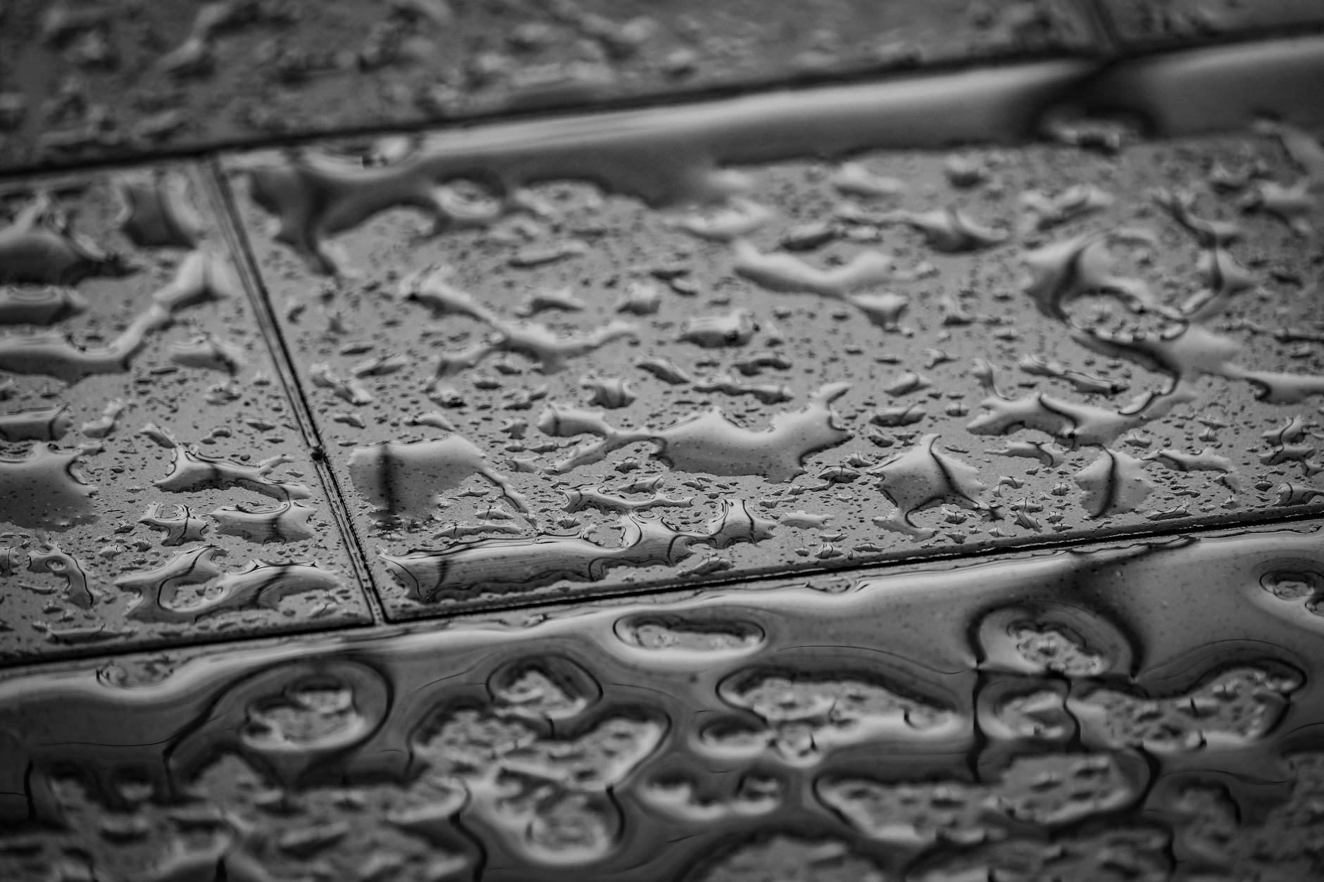 Moisture-Resistant Materials: Timber, Stone, Metal, and Concrete Finishes