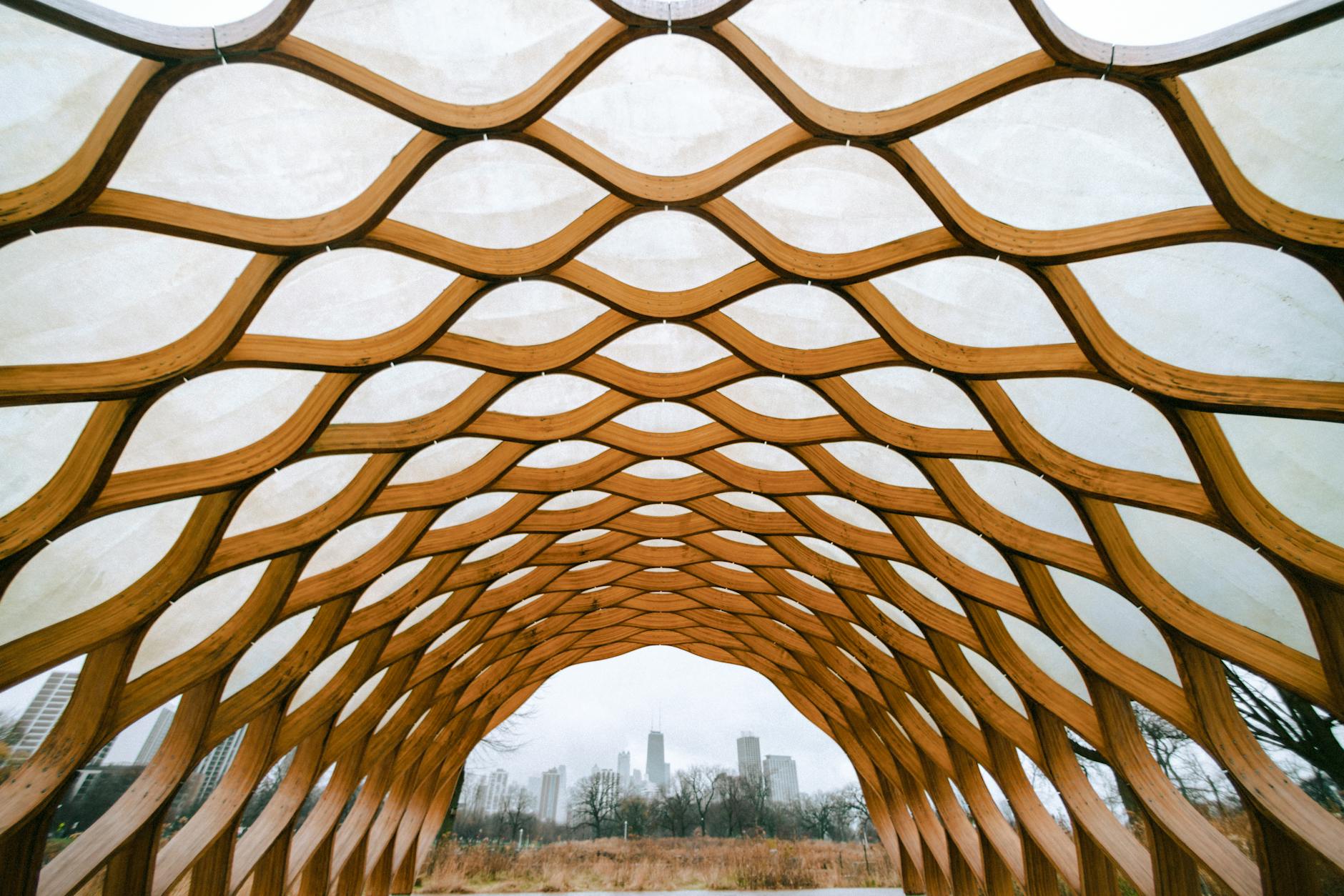 Chicago's Iconic Displays: Lincoln Park Zoo Lights, Navy Pier, and Magnificent Mile Routes
