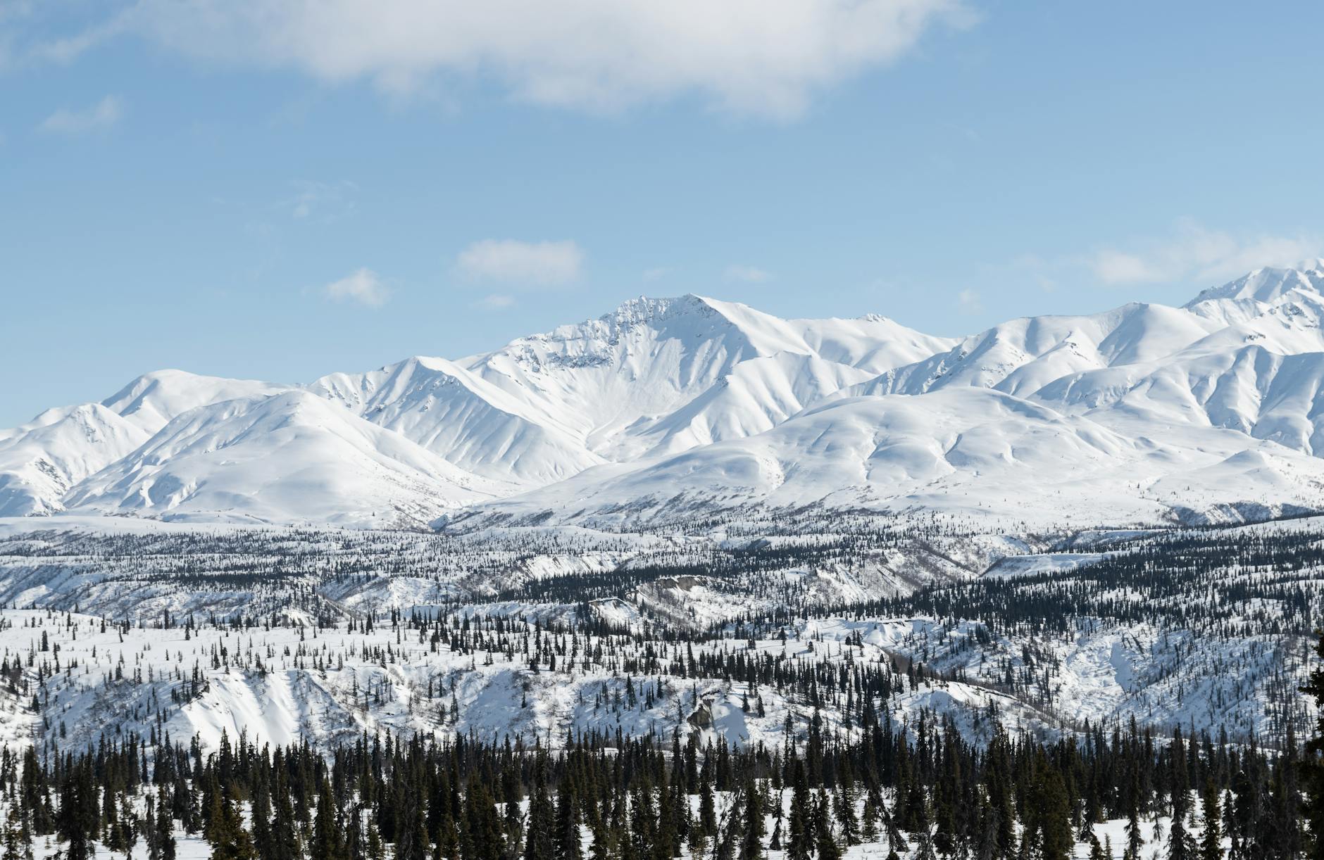 Alaska Denali: Gear, timing, and wildlife-safe distances in snow