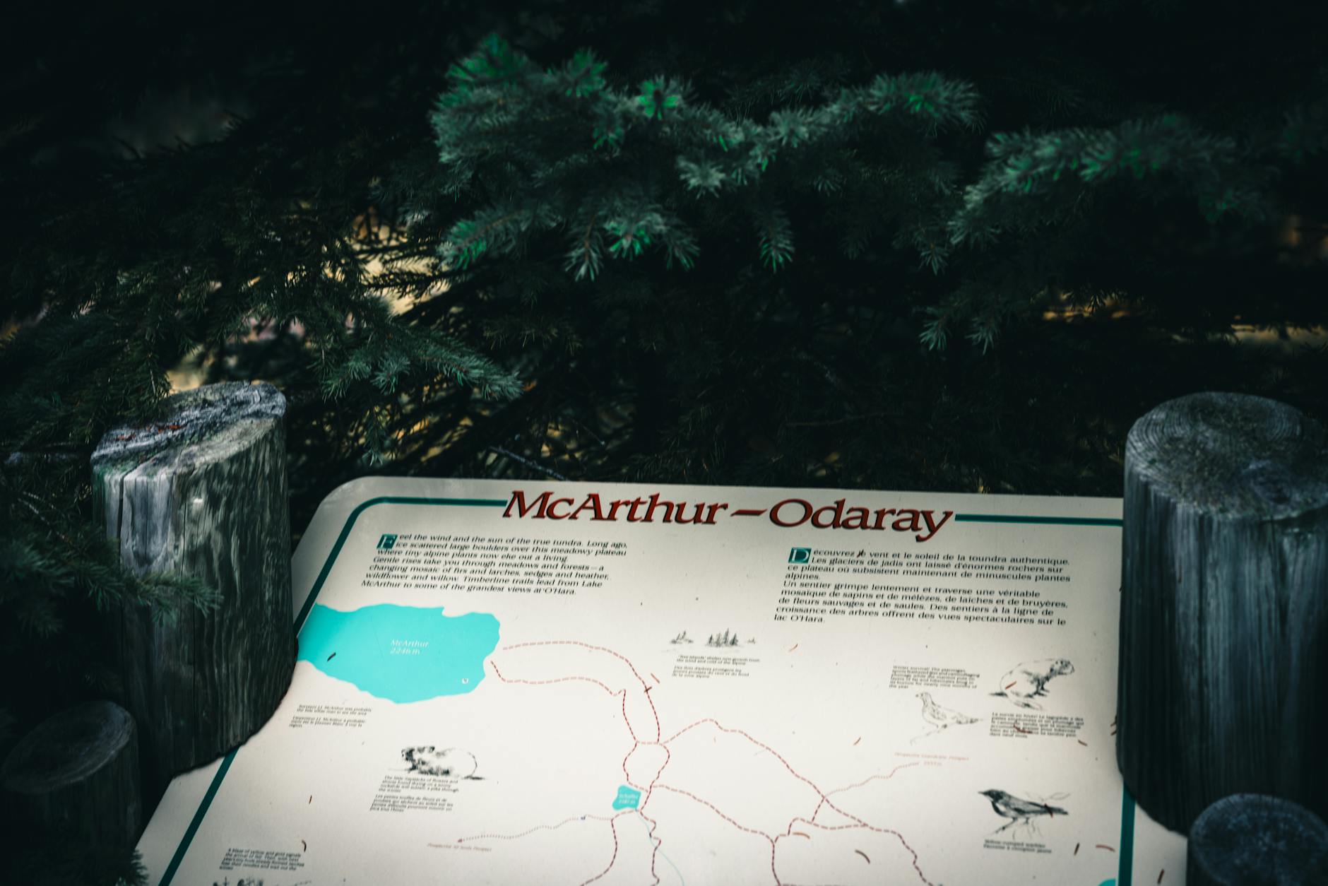 Access Points and Parking: trailheads, parking tips, and easiest routes