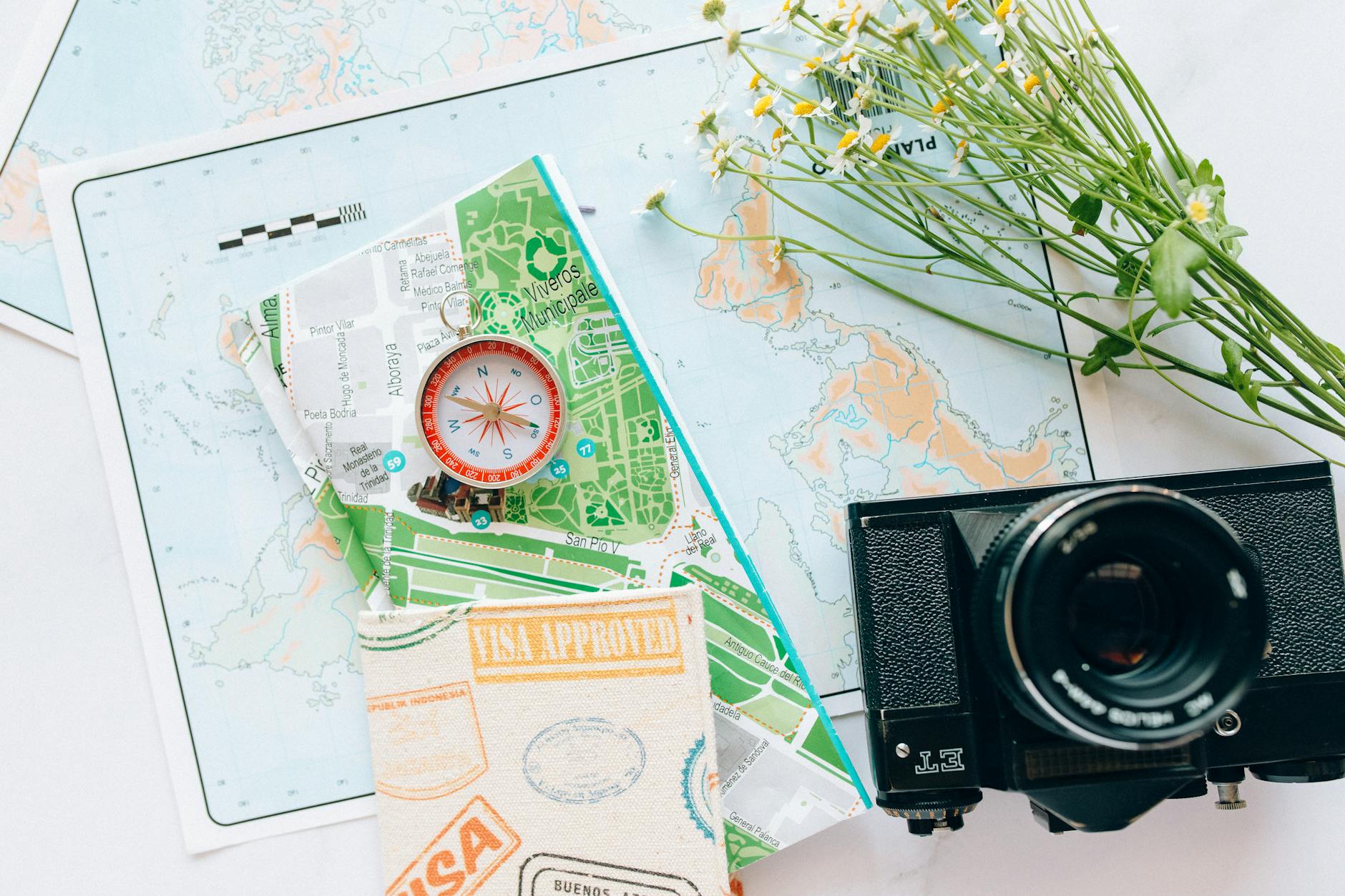 Different Categories of Business Visas