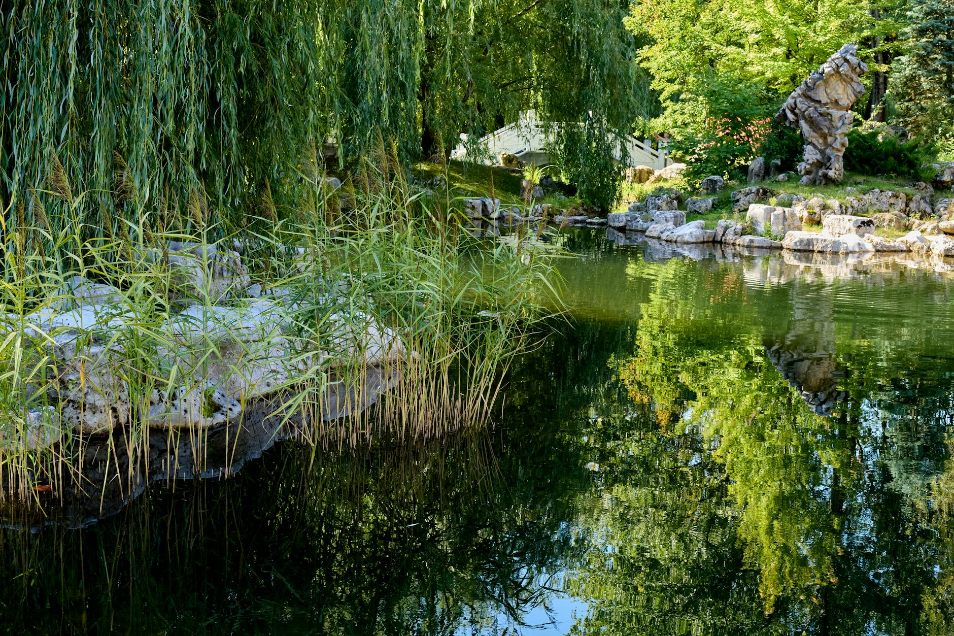 Discover Moscow's Secret Gardens