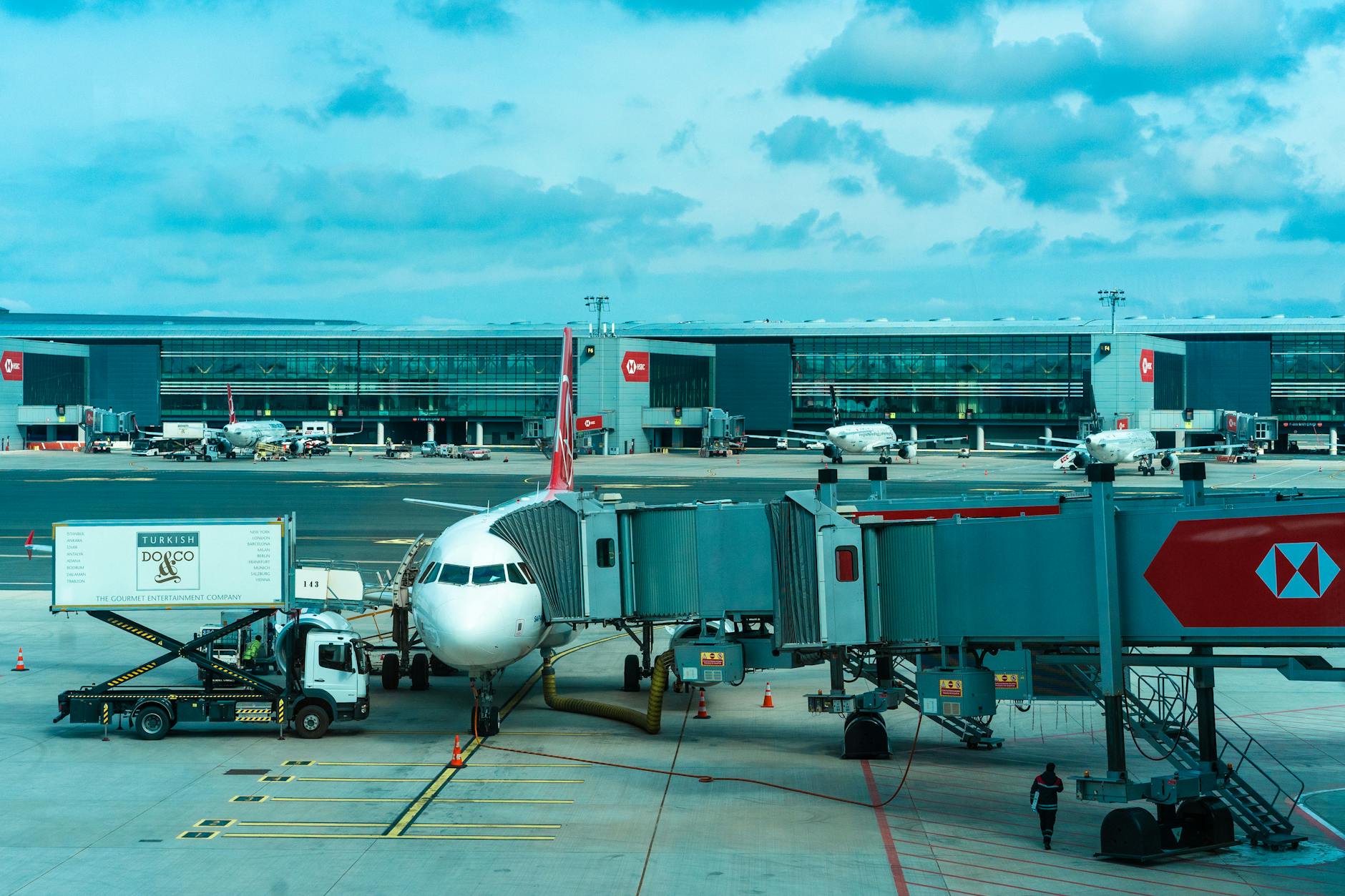 Moscow Domodedovo airport