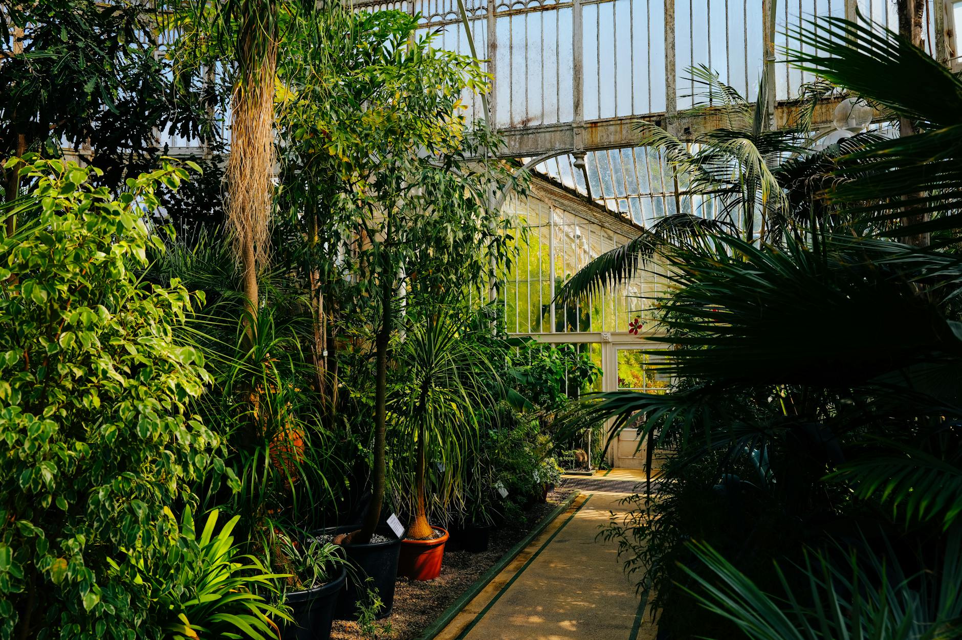 Where to Visit Plant-Filled Botanical Stores Worldwide