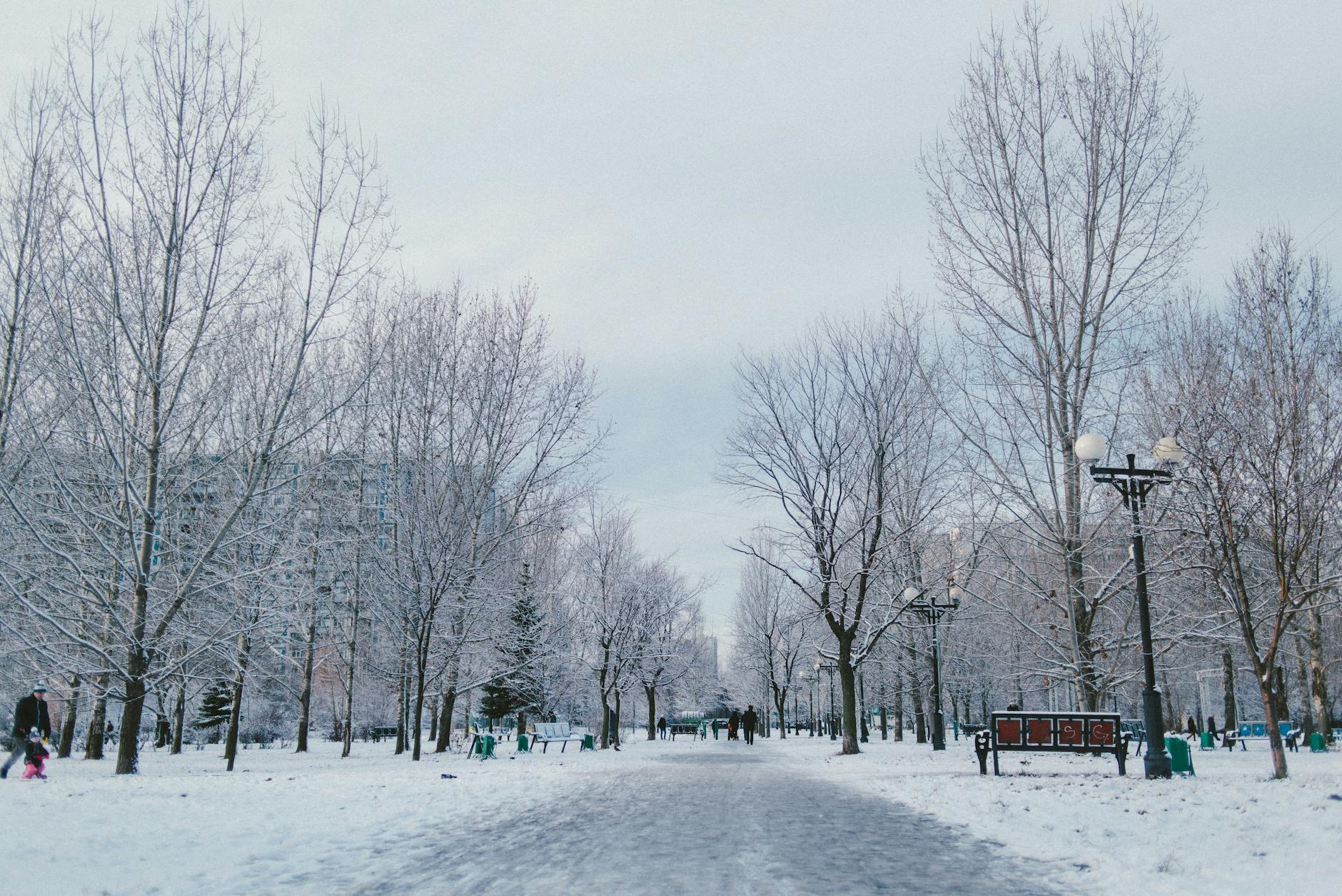 Exploring the Unique Aesthetic of White Nights