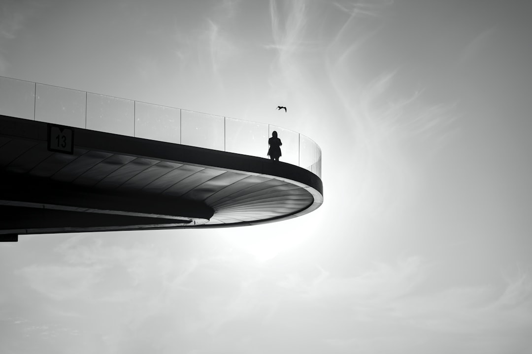 Zaryadye Park's Floating Bridge: Futuristic Photo Op