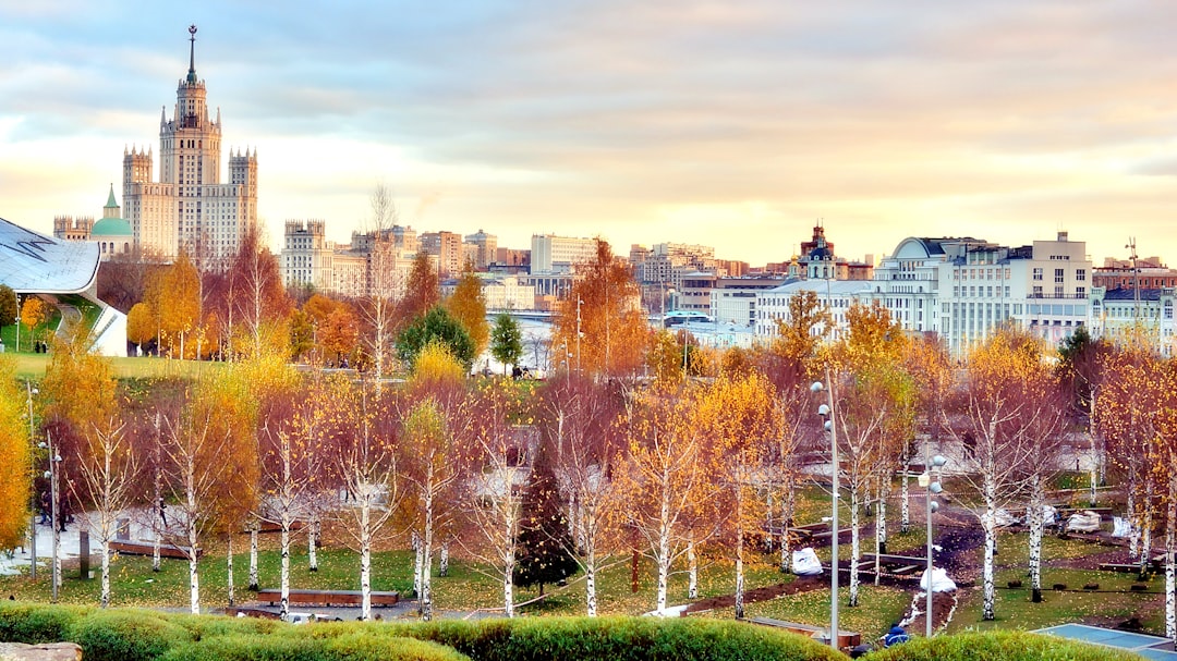 Quiet corners: top serene reading spots in Moscow parks