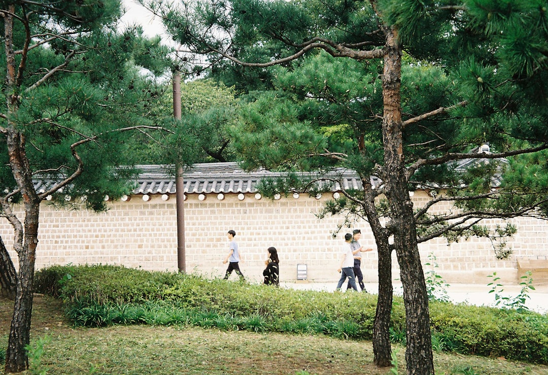 Jongno: Palace proximity, easy subway access, and cultural immersion